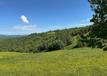 Foto 23 - Terreno agricolo Strada Prov. 83 (Cerretana), Montefortino - foto 22