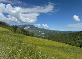 Foto 24 - Terreno agricolo Strada Prov. 83 (Cerretana), Montefortino - foto 23