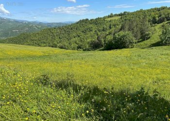 Foto 25 - Terreno agricolo Strada Prov. 83 (Cerretana), Montefortino - foto 24
