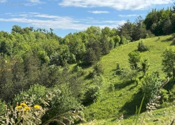 Foto 26 - Terreno agricolo Strada Prov. 83 (Cerretana), Montefortino - foto 25