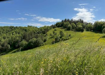 Foto 27 - Terreno agricolo Strada Prov. 83 (Cerretana), Montefortino - foto 26