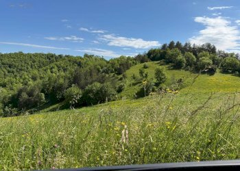 Foto 28 - Terreno agricolo Strada Prov. 83 (Cerretana), Montefortino - foto 27