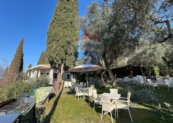 Giardino - Villa Torri del Benaco - foto 10