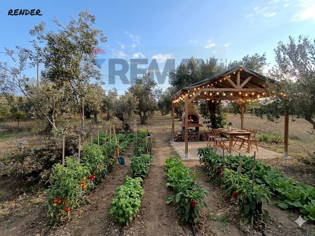 Giardino - Casa semi indipendente C.DA VILLA ANDREOLI
101, Lanciano - foto 3