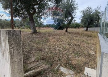 Giardino - Casa semi indipendente C.DA VILLA ANDREOLI
 
101, Lanciano - foto 3