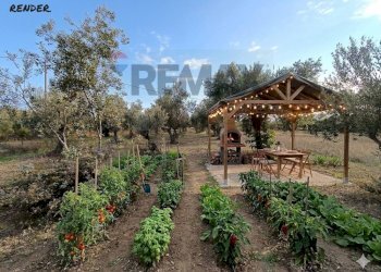 Giardino - Casa semi indipendente C.DA VILLA ANDREOLI
 
101, Lanciano - foto 3