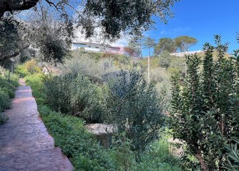 Giardino - Villa Fossacesia - photo 86