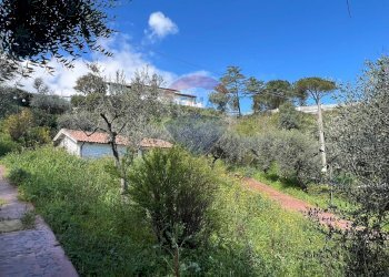 Giardino - Villa Fossacesia - photo 87