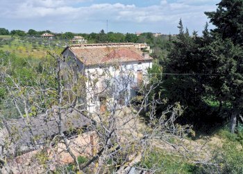 Giardino - Rustico Via  Provinciale della Rocca
 
73, Santa Maria Imbaro - foto 8