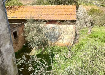 Giardino - Rustico Via  Provinciale della Rocca
 
73, Santa Maria Imbaro - foto 12