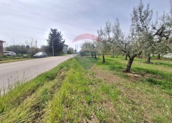 Foto 1 - Terreno edificabile Via Provinciale della Rocca, Santa Maria Imbaro - foto 1