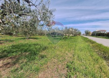 Foto 2 - Terreno edificabile Via Provinciale della Rocca, Santa Maria Imbaro - foto 2