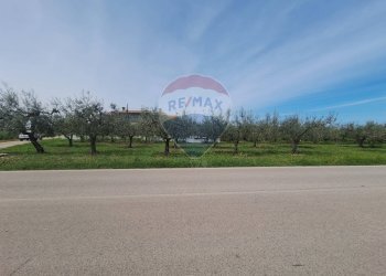 Foto 3 - Terreno edificabile Via Provinciale della Rocca, Santa Maria Imbaro - foto 3