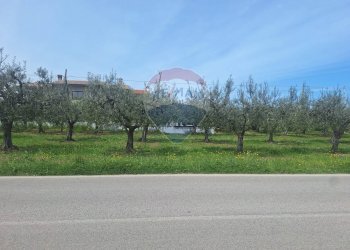 Foto 4 - Terreno edificabile Via Provinciale della Rocca, Santa Maria Imbaro - foto 4