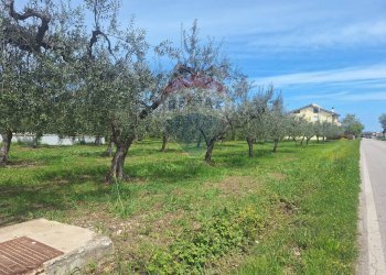 Foto 5 - Terreno edificabile Via Provinciale della Rocca, Santa Maria Imbaro - foto 5