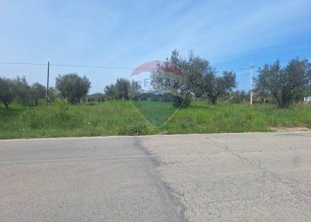 Foto 6 - Terreno edificabile Via Provinciale della Rocca, Santa Maria Imbaro - foto 6