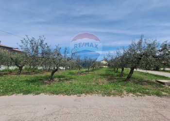 Foto 7 - Terreno edificabile Via Provinciale della Rocca, Santa Maria Imbaro - foto 7