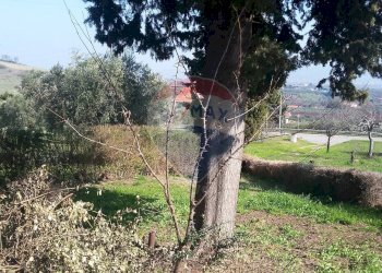 Giardino - Casa semi indipendente Contrada Sant'Onofrio
 
63/a, Lanciano - foto 24