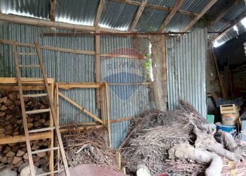 Giardino - Casa indipendente Piano Fonti - San Vincenzo
 
49, Guardiagrele - foto 27