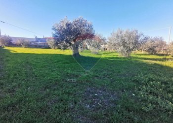 Foto 1 - Terreno edificabile Contrada Colle Pizzuto, Lanciano - foto 1