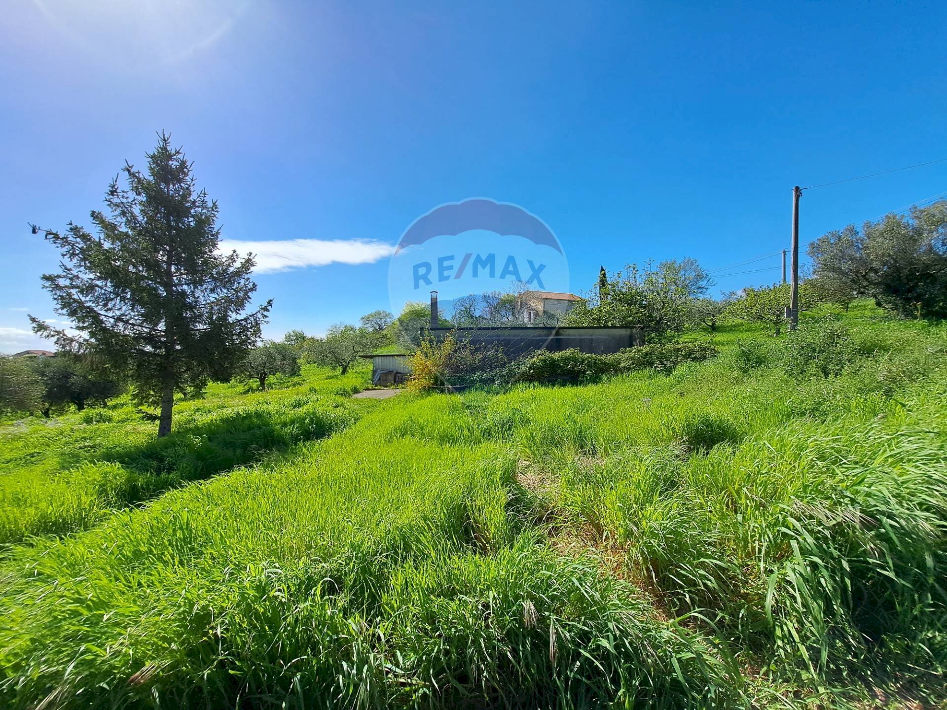 Giardino - Independent house C.da Follani
 
227, Lanciano - photo 3