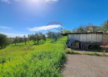 Giardino - Casa indipendente C.da Follani
 
227, Lanciano - foto 9