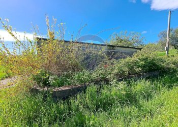 Giardino - Casa indipendente C.da Follani
 
227, Lanciano - foto 11