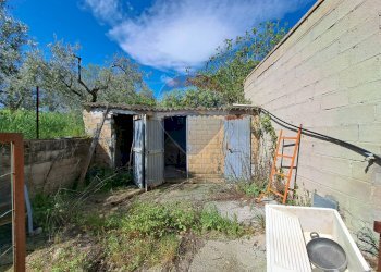 Giardino - Casa indipendente C.da Follani
 
227, Lanciano - foto 15
