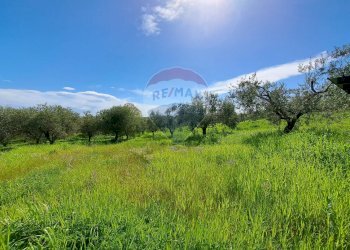 Giardino - Casa indipendente C.da Follani
 
227, Lanciano - foto 17
