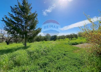 Giardino - Casa indipendente C.da Follani
 
227, Lanciano - foto 18