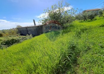 Giardino - Casa indipendente C.da Follani
 
227, Lanciano - foto 20