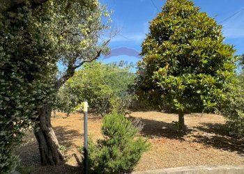 Giardino - Casa indipendente Via del Mare
 
24, Frisa - foto 7