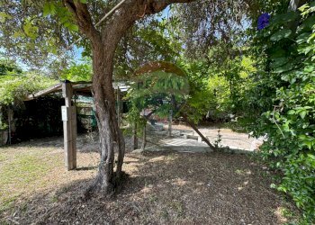 Giardino - Casa indipendente Via del Mare
 
24, Frisa - foto 15