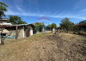 Giardino - Casa indipendente Via del Mare
 
24, Frisa - foto 18