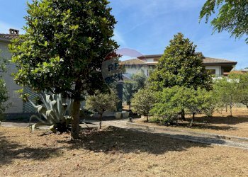 Giardino - Casa indipendente Via del Mare
 
24, Frisa - foto 20