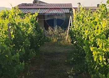 Giardino - Villa contrada badia, Mineo - foto 1