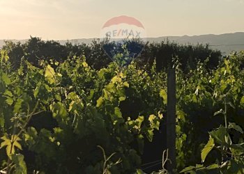 Edificio all\'aperto - Villa contrada badia, Mineo - foto 6