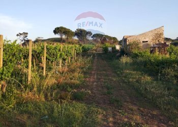 Giardino - Villa contrada badia, Mineo - foto 8