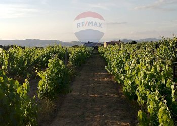 Giardino - Villa contrada badia, Mineo - foto 14