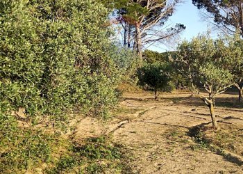 Giardino - Villa contrada badia, Mineo - foto 15