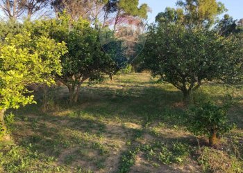 Giardino - Villa contrada badia, Mineo - foto 16