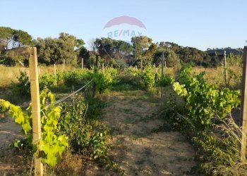 Giardino - Villa contrada badia, Mineo - foto 18