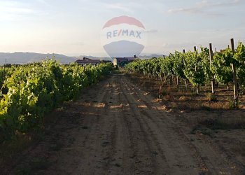 Edificio all\'aperto - Villa contrada badia, Mineo - foto 19