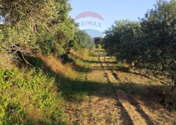 Giardino - Villa contrada badia, Mineo - foto 22