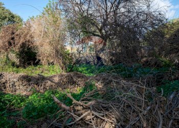 Giardino - Terreno edificabile Vico Balsamo
 
12, San Gregorio di Catania - foto 10