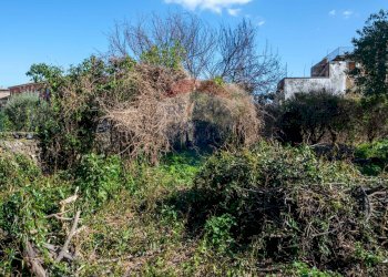 Vista delle montagne - Terreno edificabile Vico Balsamo
 
12, San Gregorio di Catania - foto 16