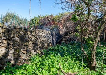 Giardino - Terreno edificabile Vico Balsamo
 
12, San Gregorio di Catania - foto 17