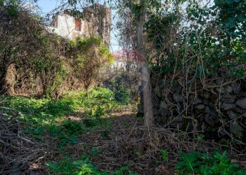 Giardino - Terreno edificabile Vico Balsamo
 
12, San Gregorio di Catania - foto 20