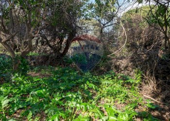 Giardino - Terreno edificabile Vico Balsamo
 
12, San Gregorio di Catania - foto 21