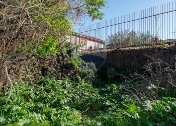 Giardino - Terreno edificabile Vico Balsamo
 
12, San Gregorio di Catania - foto 22